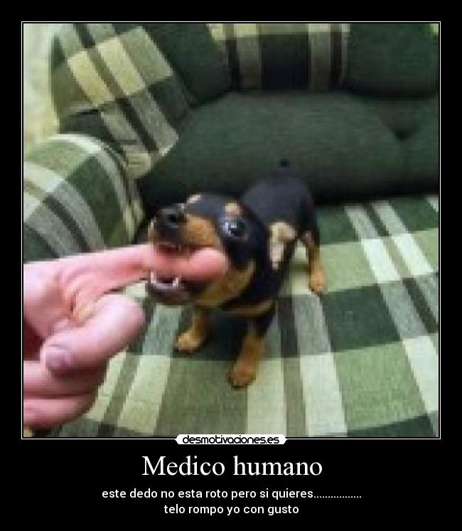 Medico humano - 