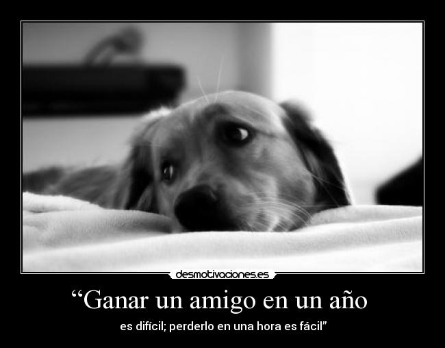 “Ganar un amigo en un año -