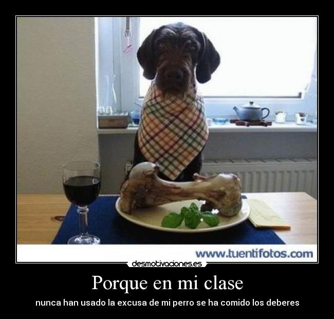 Porque en mi clase - nunca han usado la excusa de mi perro se ha comido los deberes