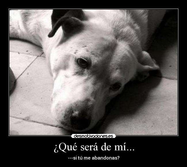 ¿Qué será de mí... -