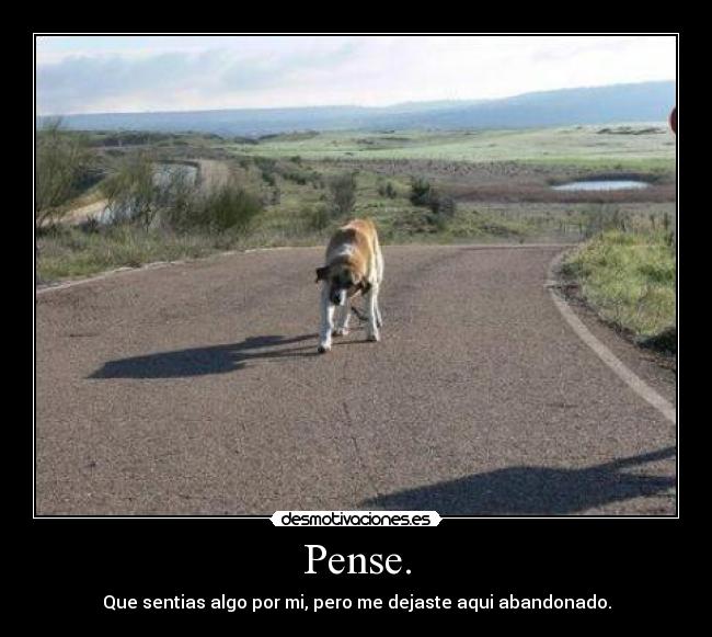 Pense. - 