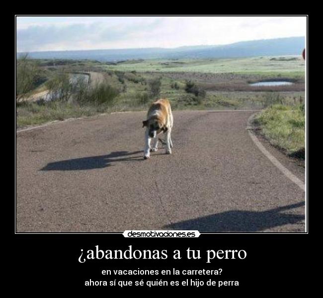 ¿abandonas a tu perro - en vacaciones en la carretera?
ahora sí que sé quién es el hijo de perra