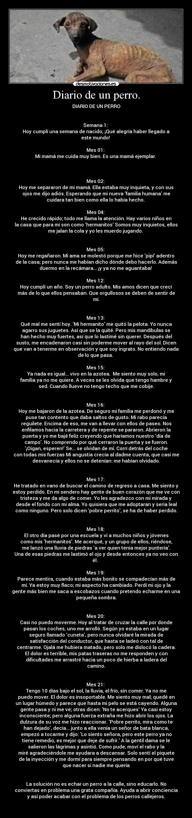 Diario de un perro. -