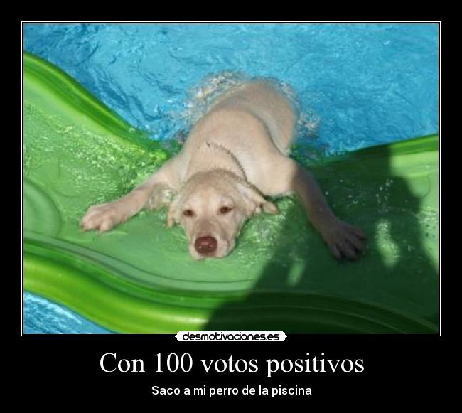 Con 100 votos positivos -