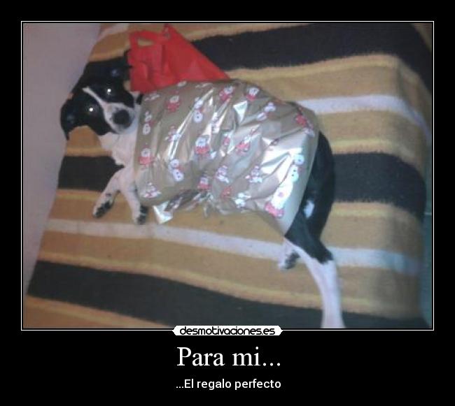 Para mi... - ...El regalo perfecto