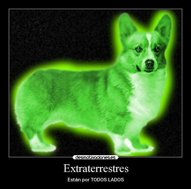 Extraterrestres - Están por TODOS LADOS