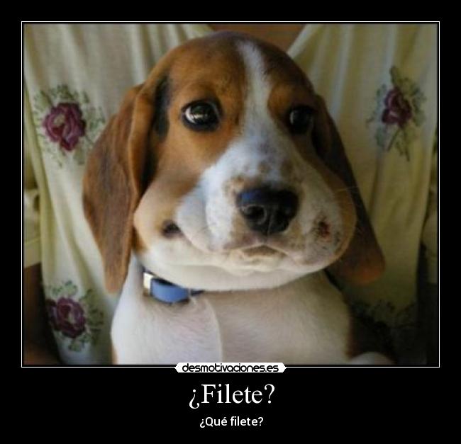¿Filete? -