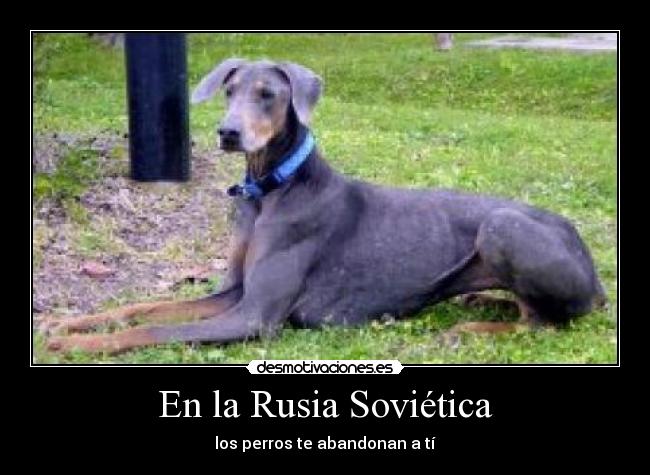 En la Rusia Soviética - 
