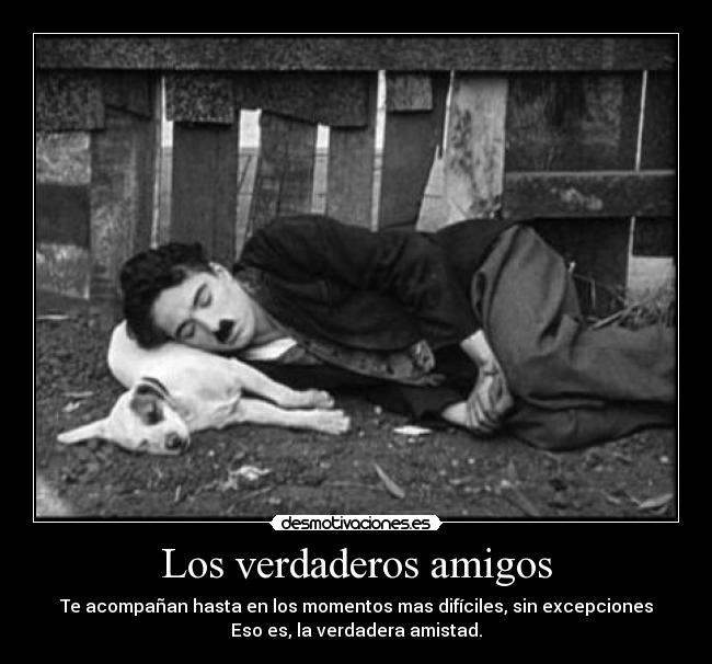 Los verdaderos amigos - 