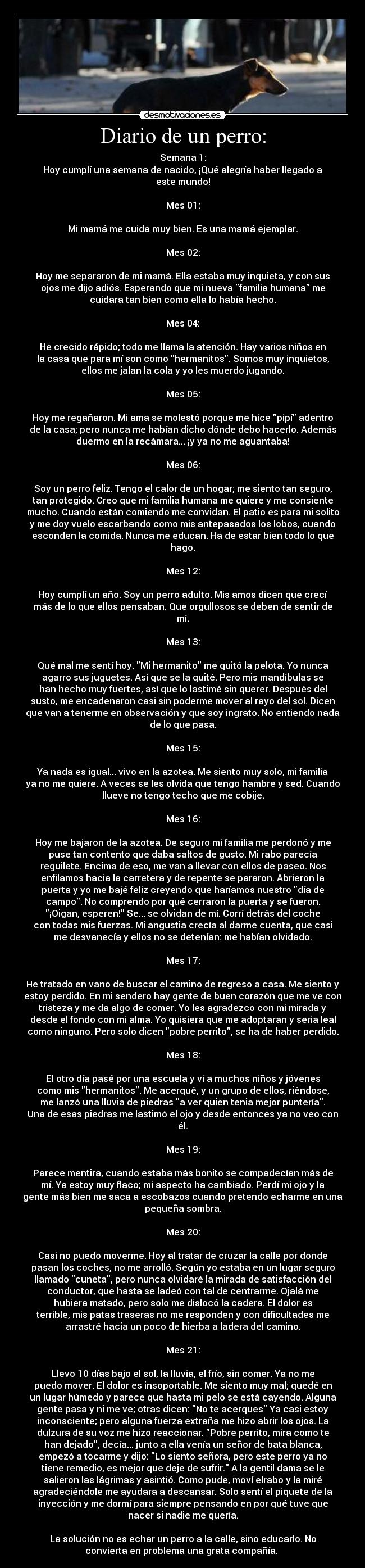 Diario de un perro: - 