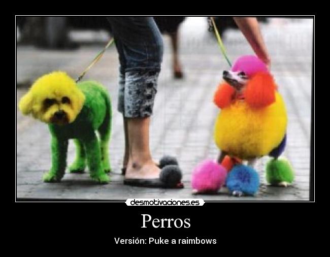 Perros - 