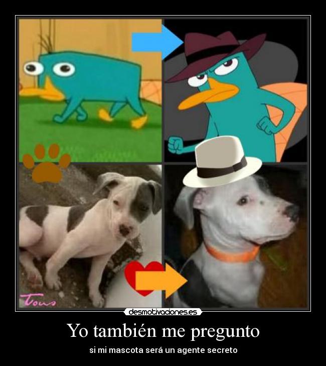 Yo también me pregunto -