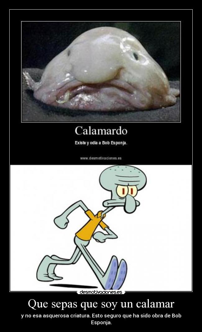 Que sepas que soy un calamar - 