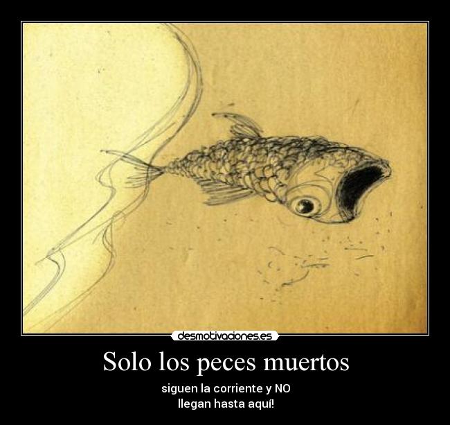 Solo los peces muertos - siguen la corriente y NO
llegan hasta aquí!