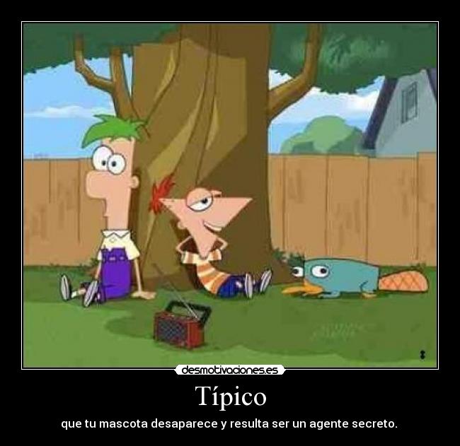 Típico - que tu mascota desaparece y resulta ser un agente secreto. 