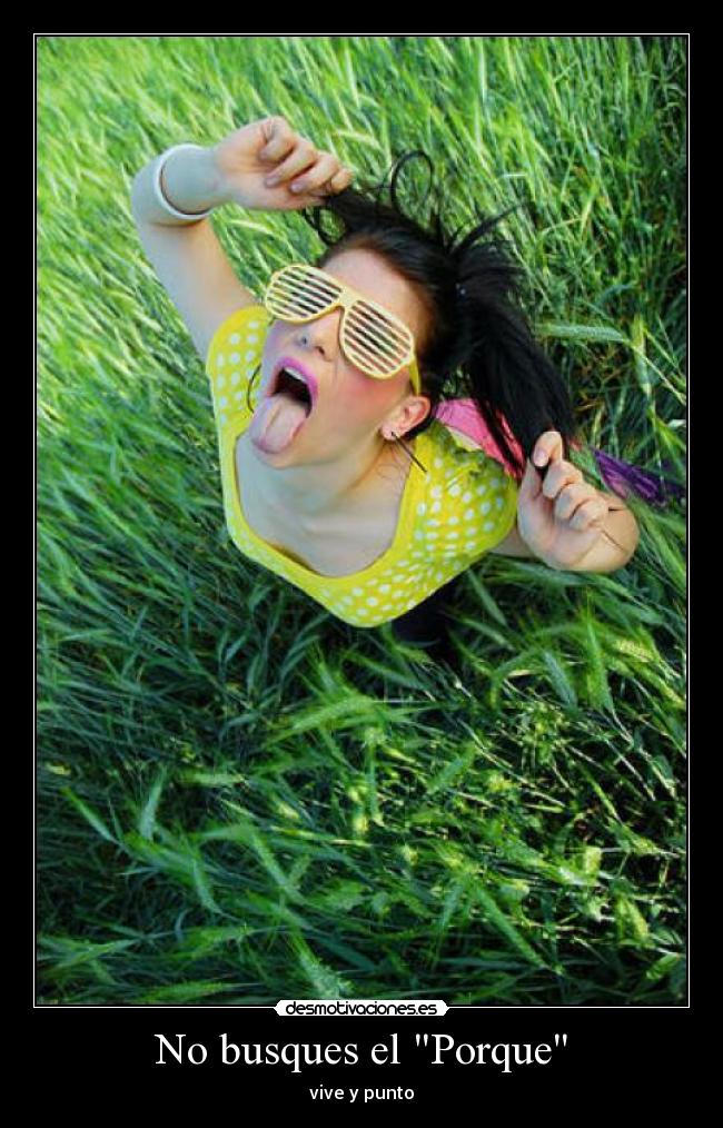 No busques el Porque - vive y punto