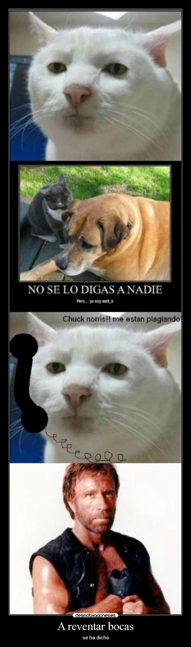 A reventar bocas - se ha dicho