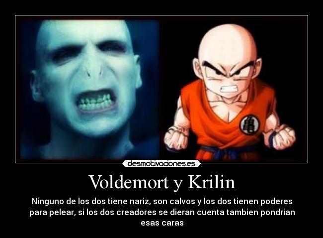Voldemort y Krilin - Ninguno de los dos tiene nariz, son calvos y los dos tienen poderes
para pelear, si los dos creadores se dieran cuenta tambien pondrian
esas caras