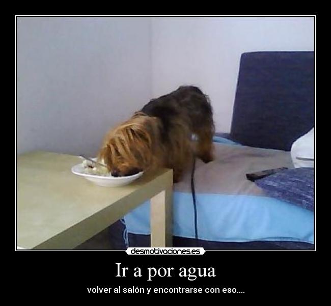 Ir a por agua - 