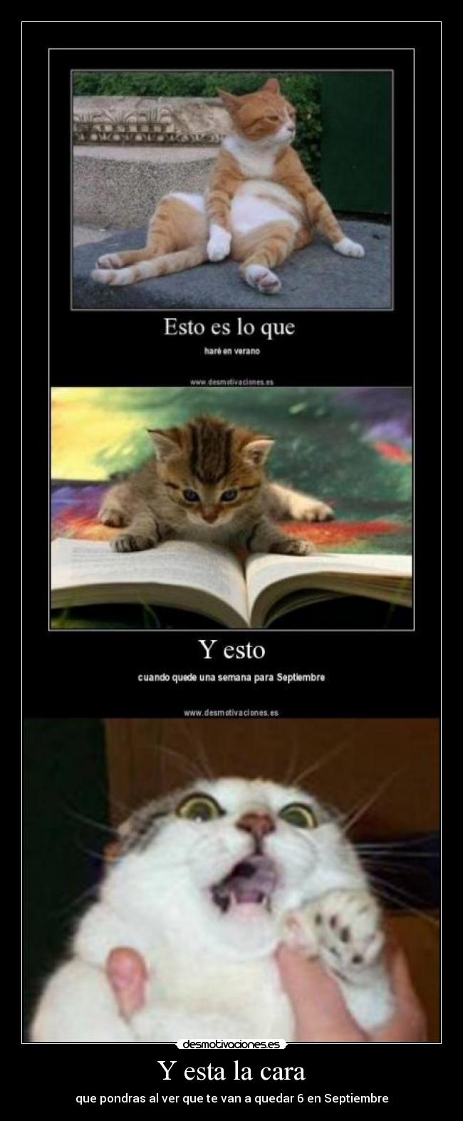 Y esta la cara - que pondras al ver que te van a quedar 6 en Septiembre