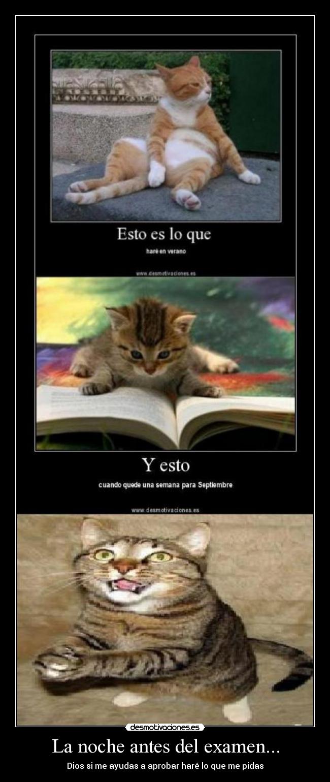 La noche antes del examen... - 