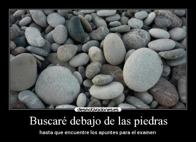 Buscaré debajo de las piedras - 