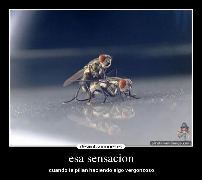 esa sensacion - cuando te pillan haciendo algo vergonzoso