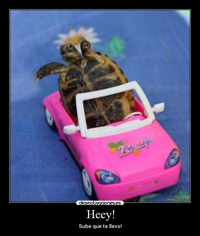 Heey! - Sube que te llevo!