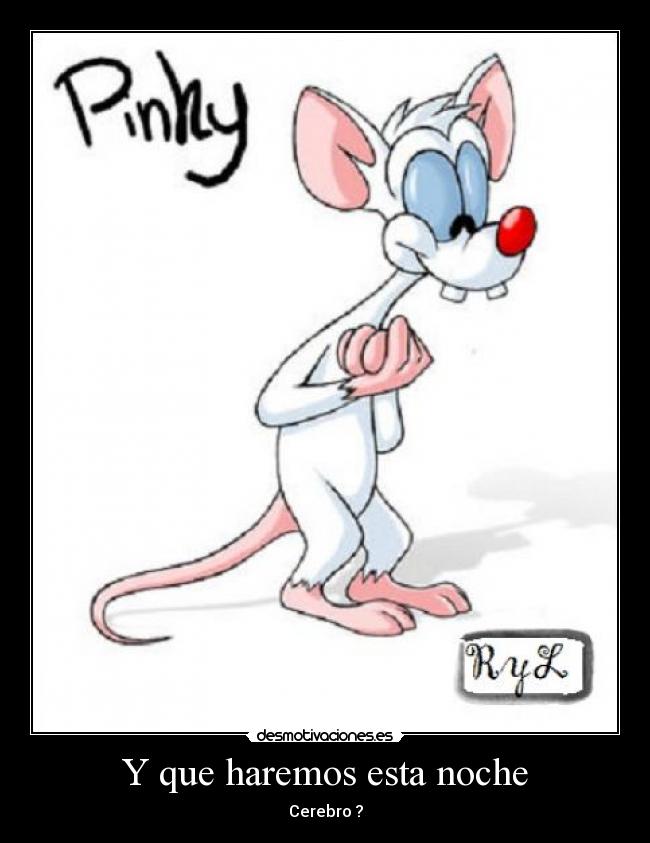 Y que haremos esta noche - 