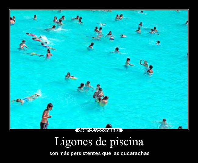 carteles piscina ligones cucarachas desmotivaciones