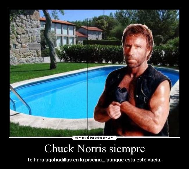 Chuck Norris siempre - te hara agohadillas en la piscina... aunque esta esté vacía.