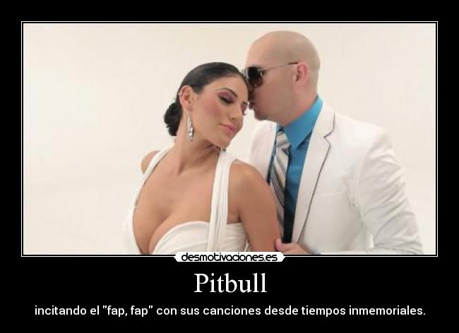 Pitbull -