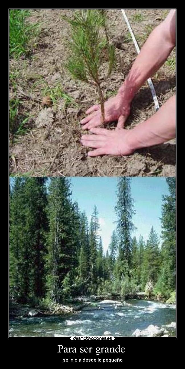 Para ser grande -