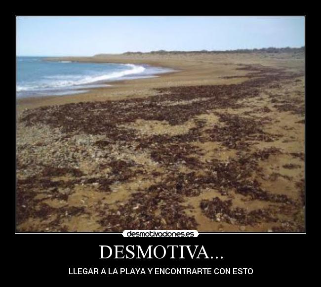DESMOTIVA... -