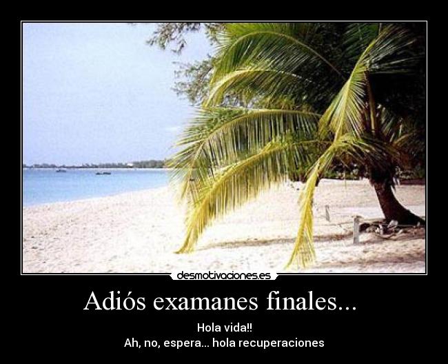 Adiós examanes finales... - Hola vida!!
Ah, no, espera... hola recuperaciones