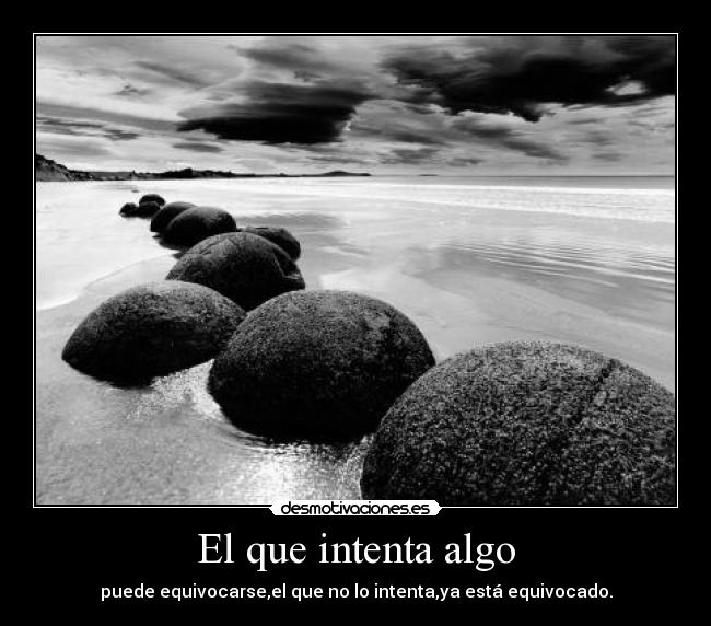 carteles equivocarse desmotivaciones