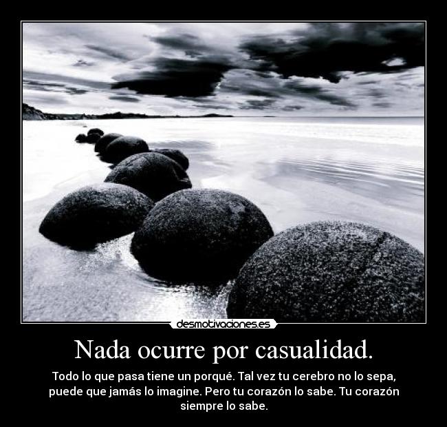 Nada ocurre por casualidad. -