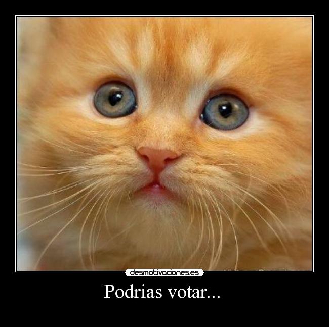 Podrias votar... -