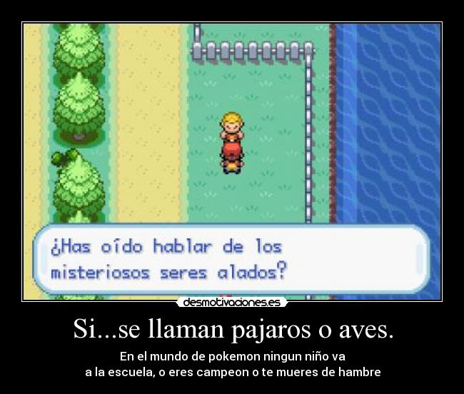 Si...se llaman pajaros o aves. - En el mundo de pokemon ningun niño va
a la escuela, o eres campeon o te mueres de hambre