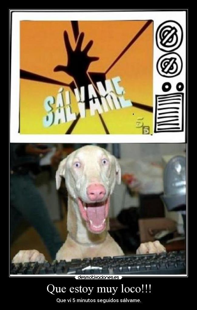 Que estoy muy loco!!! - Que vi 5 minutos seguidos sálvame.