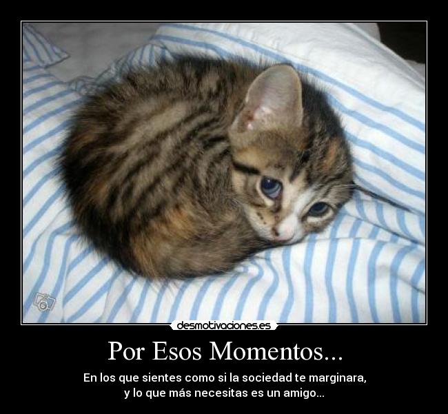 Por Esos Momentos... - En los que sientes como si la sociedad te marginara,
y lo que más necesitas es un amigo...
