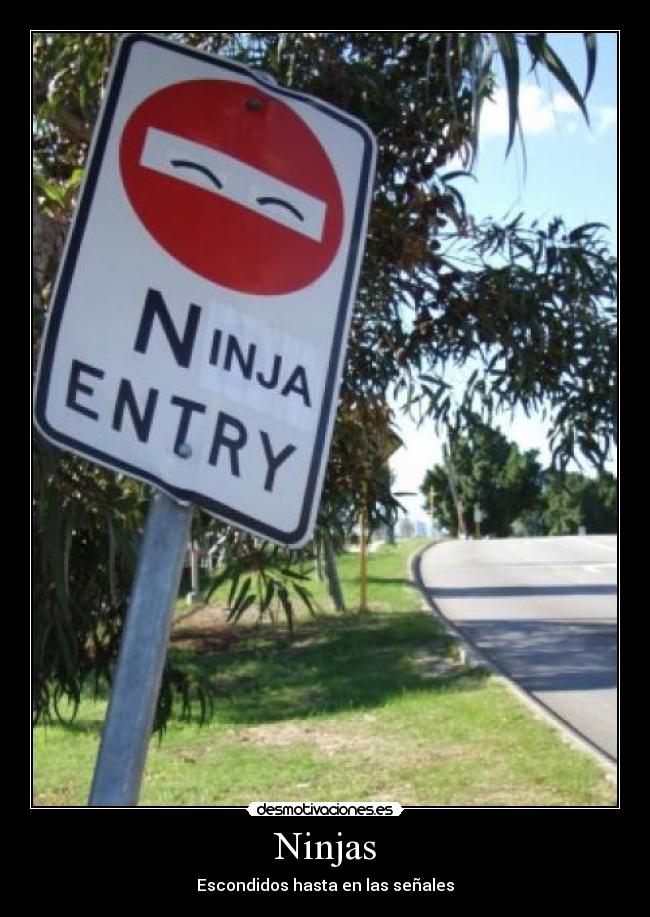 Ninjas - 