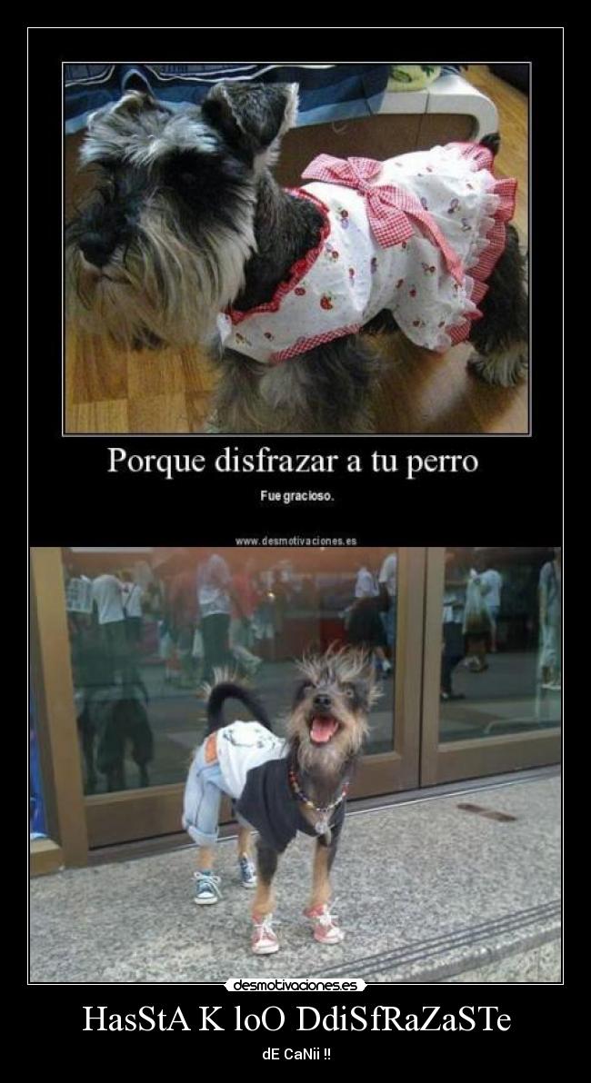 HasStA K loO DdiSfRaZaSTe - dE CaNii !!