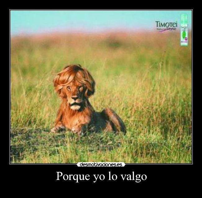 Porque yo lo valgo -