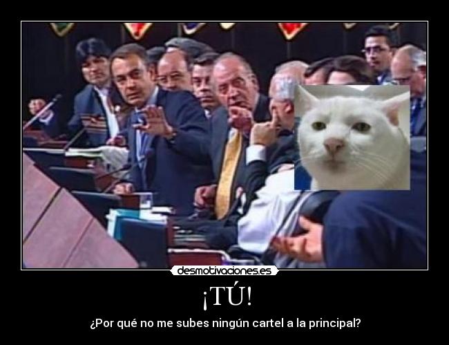 ¡TÚ! - ¿Por qué no me subes ningún cartel a la principal?