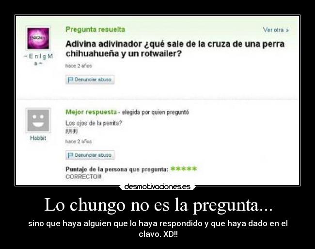carteles yahoo respuestas pregunta tonta rottweiler chihuahua desmotivaciones