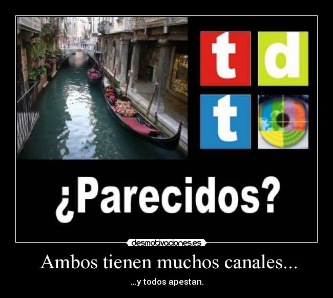 Ambos tienen muchos canales... - ...y todos apestan.