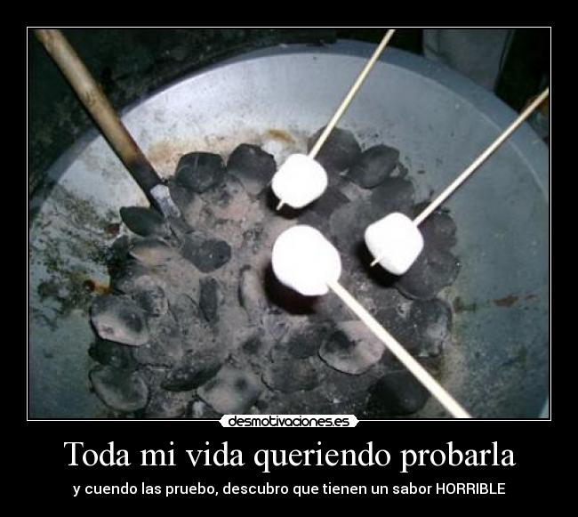 Toda mi vida queriendo probarla -