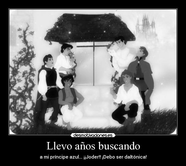 Llevo años buscando -