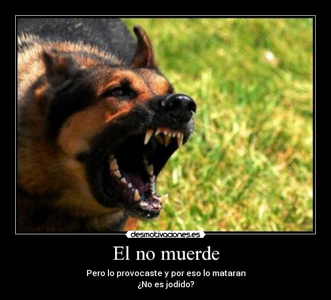 El no muerde -